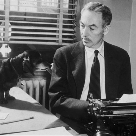 Creative dog-themed alphabet letters with playful paw prints and bone shapes on white background