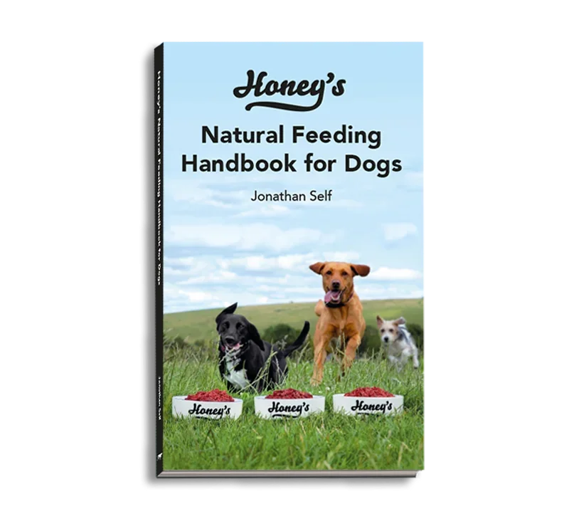 Cover of Honey's Natural Feeding Handbook for Dogs by Jonathan Self showing three dogs running in grassy field with Honey's branded food bowls