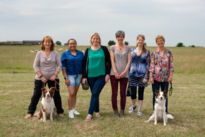 The honeys team in a field