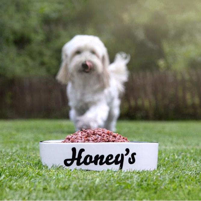 Dog running towards a honeys bowl
