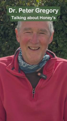 Peter Gregory vers 2 talking Honeys