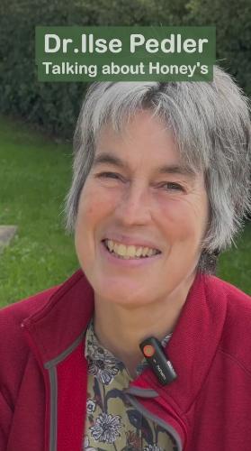 Ilse Pedler talking Honeys