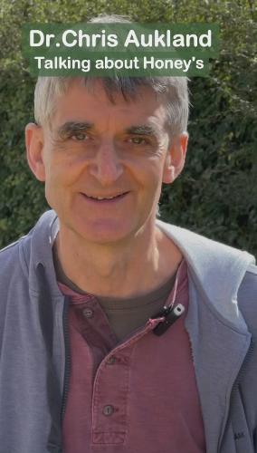 Chris Aukland Talking Honeys 